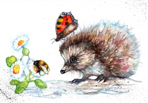 Hedgehog and Daisy A5 Watercolour Print